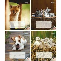 burtnica-liniju-12-lapas